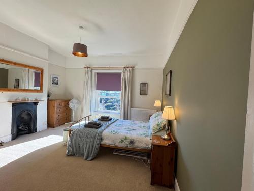 1 dormitorio con 1 cama, chimenea y ventana en NEW Seabreeze Large Family Apt Sea Views Ventnor, en Ventnor