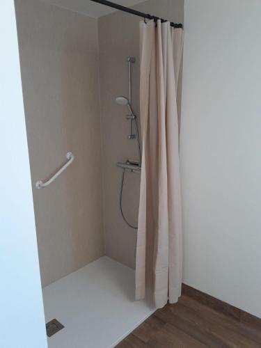 a bathroom with a shower with a shower curtain at Le Toit Vert in Moutiers