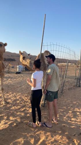 Hosté ubytování Essa camp in Wahiba Sands