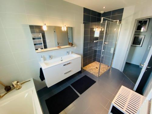 une salle de bain avec une douche, un lavabo et une baignoire dans l'établissement Biscaraibes, à Biscarrosse