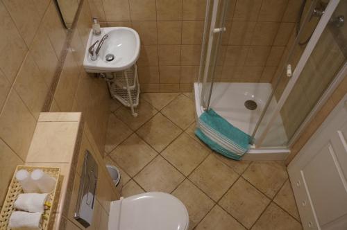 ドウゴポレ・ズドルイにあるPod Gadającym Kotemのバスルーム(トイレ、洗面台、シャワー付)