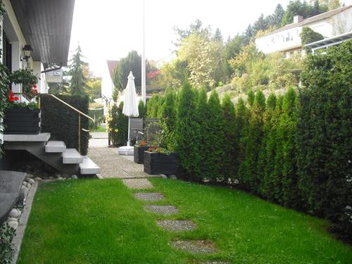 a garden with green grass and a hedge at Gästehaus Cramer in Bad Kissingen
