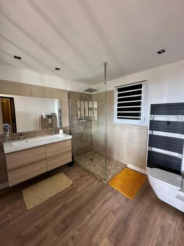 une salle de bain avec une douche, un lavabo et des toilettes dans l'établissement Superbe villa avec piscine, à Toulon