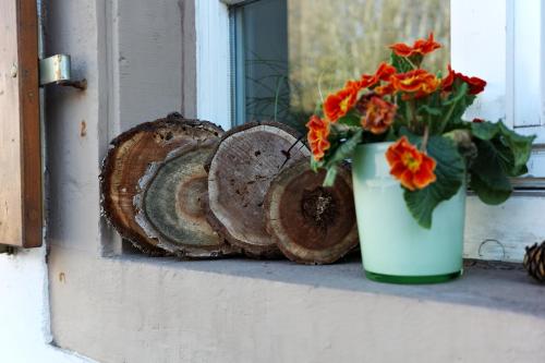 a vase with flowers sitting on a window sill at Gasthaus Adler in Nordschwaben