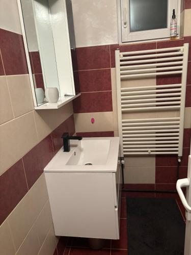 a bathroom with a white sink and a mirror at Village house & Micro Winery in Sîntioana de Mureş