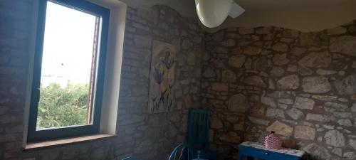 Φωτογραφία από το άλμπουμ του 2 girasoli primo piano σε Sanfatucchio