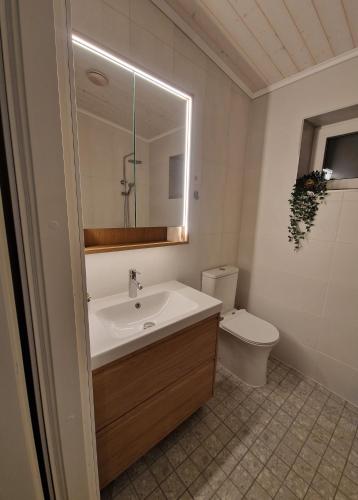 a bathroom with a sink and a toilet and a mirror at Taadi studio apartment in Loosu