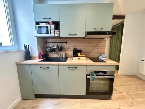 une petite cuisine avec un évier et un micro-ondes dans l'établissement Le Verdoré, au pied du centre historique, à Bourg-lès-Valence