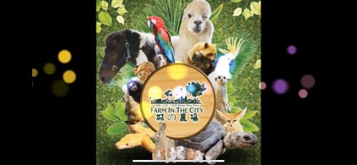 a picture of a group of animals with a sign at Seri Kembangan Metacity, Cikgu Kabinet Empire, Equine Park,MRT Station, IOI mall, Putrajaya, Cyberjaya, Farm in the city, Uptown Equine in Seri Kembangan