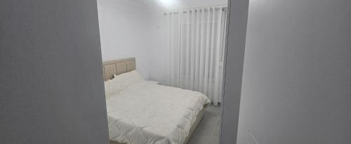 Selite Tirane