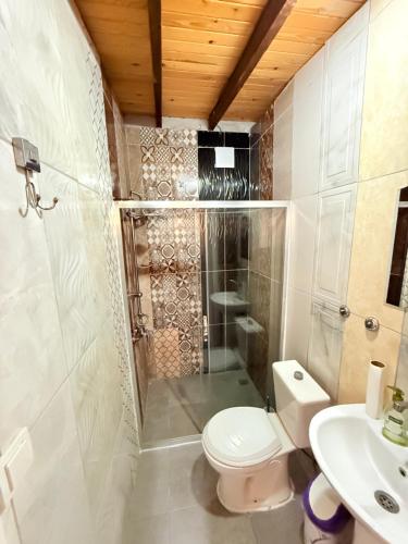 a bathroom with a shower and a toilet and a sink at ÖZ Butik Otel Antik Kent Myrleia in Mudanya