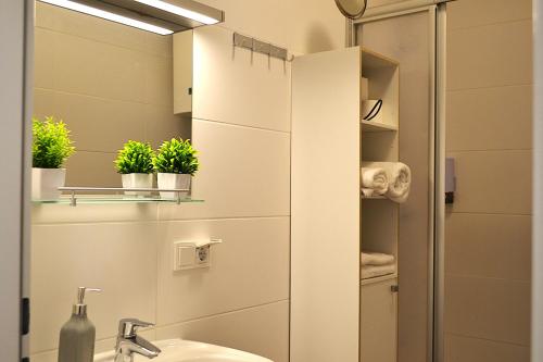 a bathroom with a sink and a mirror at Ferienwohnungen Halbturn in Halbturn