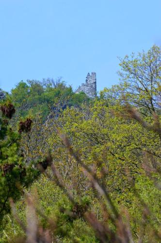 a castle on top of a hill with trees at Hotel Weinhaus Hoff in Bad Honnef am Rhein