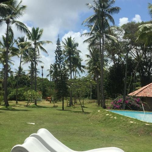 a swimming pool with palm trees in a park at FAZENDA BOSQUE DAs PALMEIRAS in Itamaracá