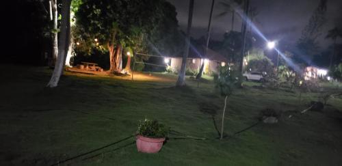 a plant in a pot in a yard at night at FAZENDA BOSQUE DAs PALMEIRAS in Itamaracá