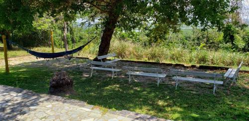 two benches sitting under a tree with a hammock at FAZENDA BOSQUE DAs PALMEIRAS in Itamaracá