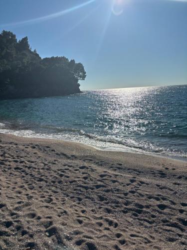 아파트 주변 자연 경관