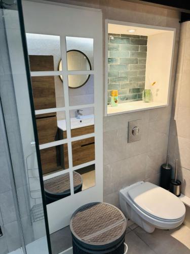 a bathroom with a toilet and a mirror at L'élégant duplex Carmes in Toulouse