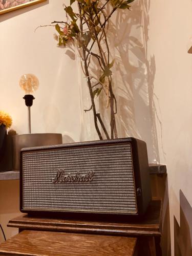 a television sitting on a table with a vase of flowers at Charming & Spacious Duplex viewing the lovely MAS in Antwerp