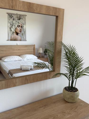 a bedroom with a large mirror and a potted plant at Blue Sand Apartment in Analipsi