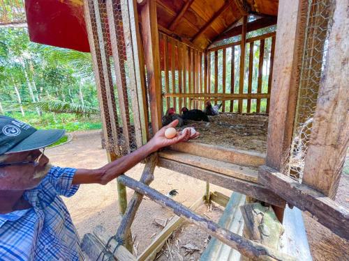 a man is standing in a wooden building at Amandawa Eco in Gampaha