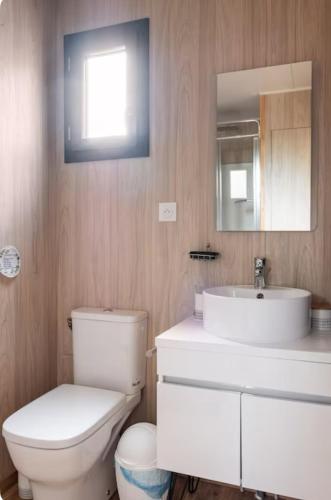 a bathroom with a toilet and a sink and a mirror at La chambre des oliviers in Aubais