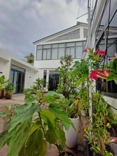 a garden with plants in front of a building at Experience Homestay in Can Tho