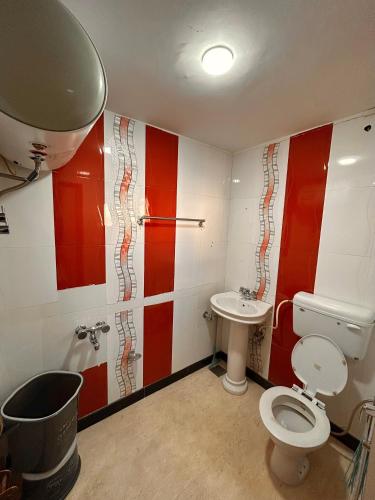 a bathroom with a toilet and a sink at Kashmiri kothi - Srinagar stay in Srinagar