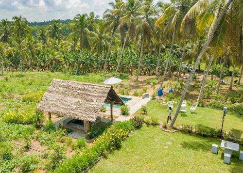 a small building with a straw roof in a field with palm trees at Amandawa Eco in Gampaha