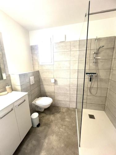 une salle de bain avec toilettes et douche en verre dans l'établissement Les hameaux de Saint Cyprien - appartement avec jardin et piscine, à Lecci