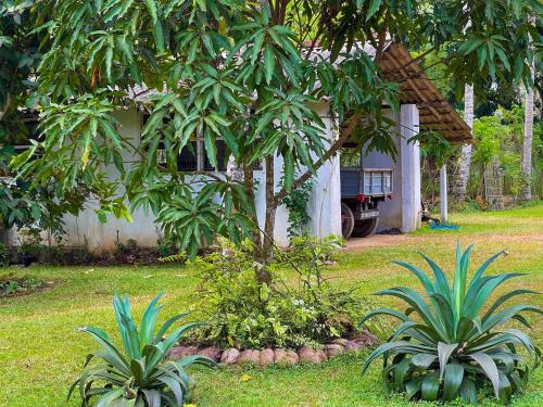 a house with two palm trees in a yard at Amandawa Eco in Gampaha