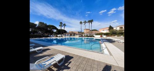 une grande piscine avec chaises et palmiers dans l'établissement Le Papillon Maitiss, à Saint-Raphaël