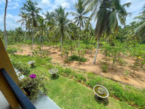 a view of a garden with palm trees and grass at Amandawa Eco in Gampaha