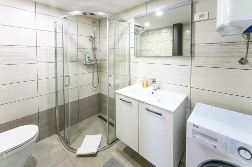 a bathroom with a shower and a toilet and a sink at The Comfortable Loft in Ljubljana