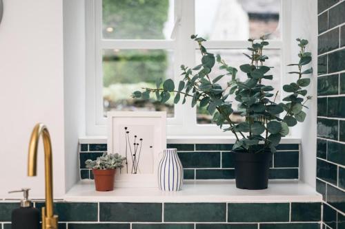 eine Küchentheke mit Pflanzen auf einem Fenstersims in der Unterkunft Basin Cottage Retreat in Whaley Bridge