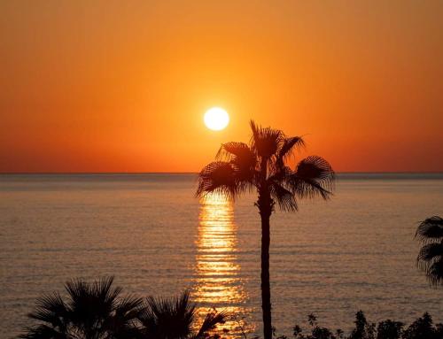 a sunset over the ocean with a palm tree at Villa Best Holiday- breathtaking sea views, amazing garden, private pool, BBQ, next to CORAL BAY, Lower Peyia, Paphos in Peyia