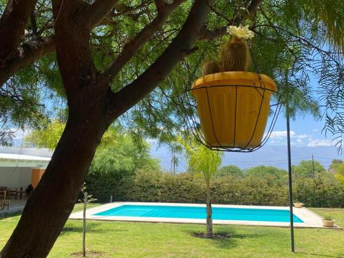 a yellow light hanging from a tree next to a swimming pool at Cepas del Valle - cabañas y suites in Chilecito