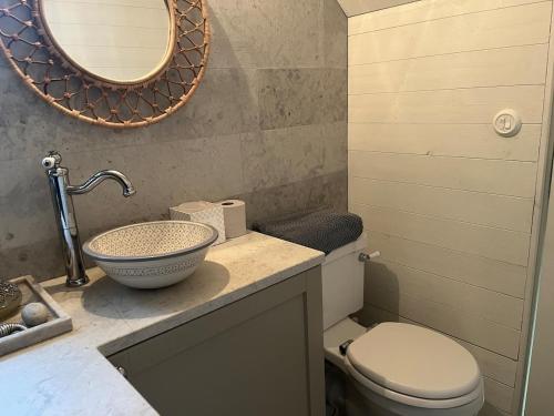 a bathroom with a sink and a toilet and a mirror at Guest house and sauna with lake view in Bergshamra