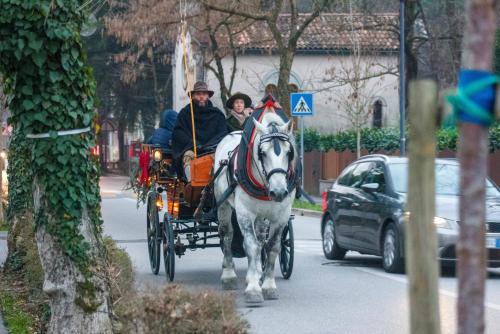 a man riding a horse drawn carriage down a street at Passion Horse's House FC in Vigonza