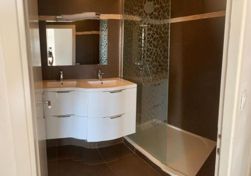une salle de bain avec un lavabo et une douche dans l'établissement Appartement très lumineux saint barnabe, à Marseille
