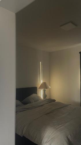 a bedroom with a bed with a lamp on it at Moderne Ferienwohnung Bad Rappenau in Bad Rappenau