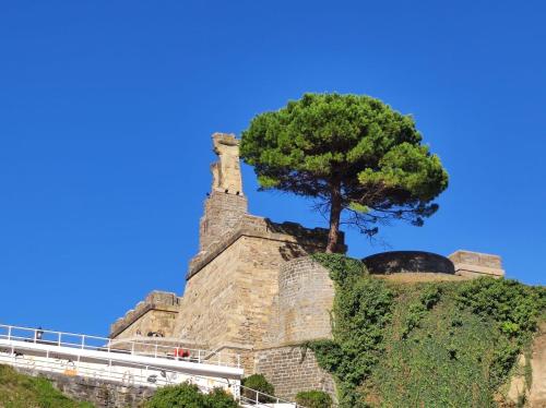 a tree on top of a stone wall at BALENTZIAGA Getaria in Getaria