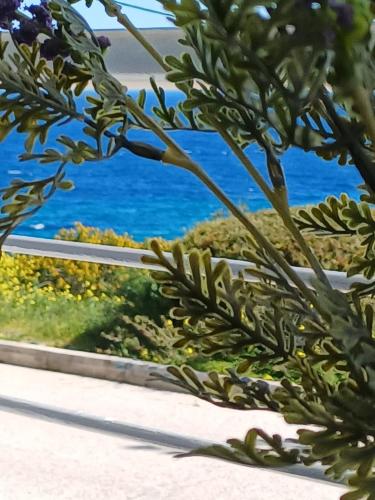 a view of the ocean through a plant at RAFINAS PARADISE VIEW!! Walking access to the Port!! Amazing Seaview!!! in Rafina