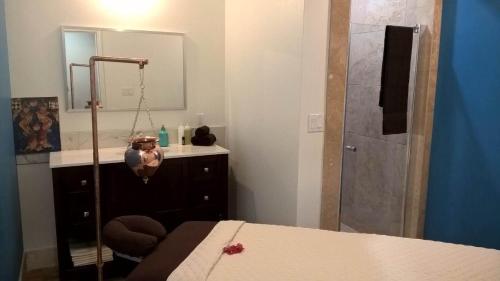 a bathroom with a shower and a bed and a mirror at The Atrium Resort in Grace Bay