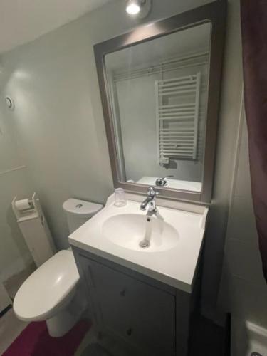 une salle de bain avec un lavabo, des toilettes et un miroir dans l'établissement Charmant duplex vue exceptionnel sur la Dordogne, à Beynac-et-Cazenac