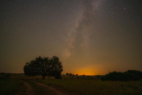 a starry sky with a tree and a dirt road at Glamping Tent #7 with AC Heat AC and Private Bath in Orderville