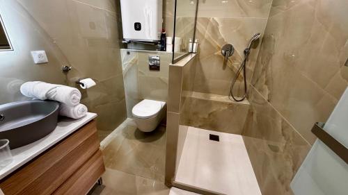 une salle de bain avec une douche, des toilettes et un lavabo dans l'établissement Studio climatisé 600m de la plage, à Cagnes-sur-Mer