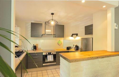 une cuisine avec des appareils en acier inoxydable et un comptoir dans l'établissement Charmant T2 Annecy, à Annecy