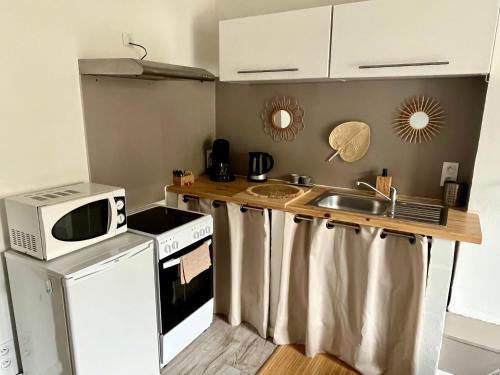 a small kitchen with a microwave and a sink at Charmant Studio au calme avec parking privé à 5min du centre ville in Digne-les-Bains