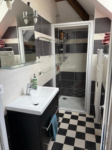 une salle de bain avec un lavabo et une douche dans l'établissement Cedar Cottage - Disney 30min, à Coulommiers